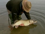 Quest for Big Pike with Des Taylor Quest for Big Pike with Des Taylor