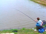 The Art of Pole Fishing with Billy Makins The Art of Pole Fishing with Billy Makins