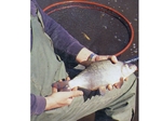 The Artof Canal Fishing with Billy Makins The Artof Canal Fishing with Billy Makins