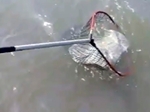 Phil Hyde on Uptide Fishing and Boatcasting Phil Hyde on Uptide Fishing and Boatcasting