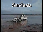 Sandeels