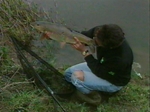 Advanced Barbel Fishing with Matt Hayes Vol. 1