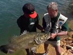 John Wilson Fishes the Aswan Dam for Nile Perch and Vundu Catfish