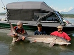 John  Wilson Fishes for Sturgeon and Salmon in Canada