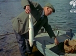 1955  Fly Fishing
